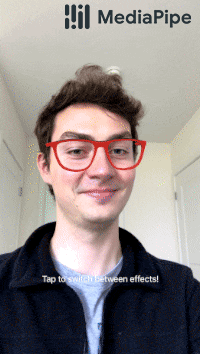 face_geometry_renderer.gif 