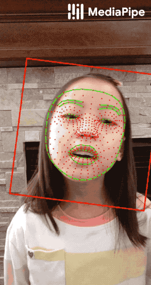 face_mesh_android_gpu.gif 