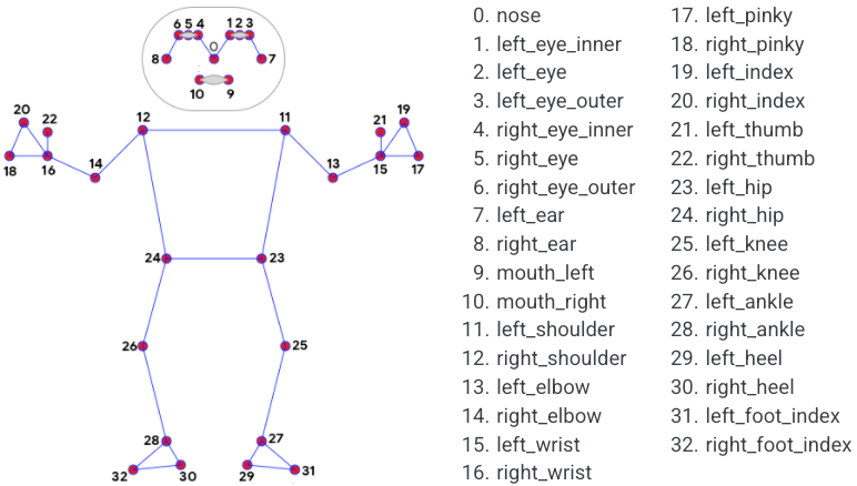 Pose estimation joints